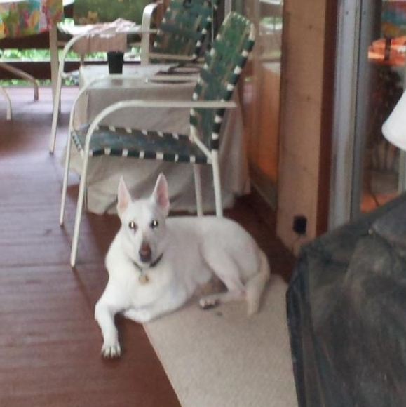 Meet your Posher, Dianna - Picture 3 of 11